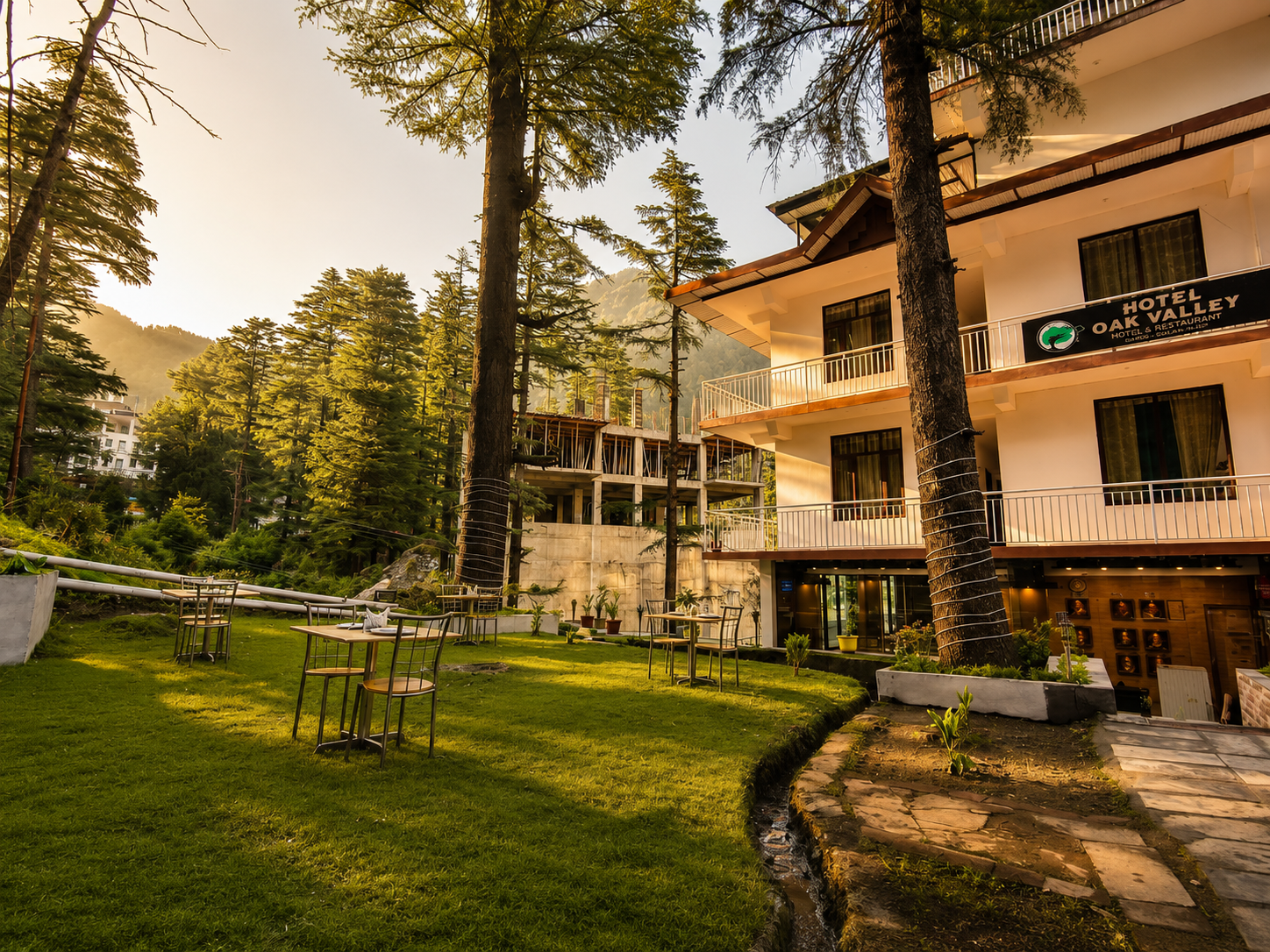 Hotel The Oak Valley among deodar trees at golden hour